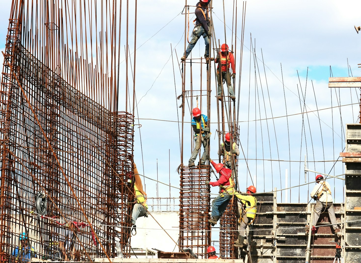 Tecniche moderne di scavo e preparazione del terreno